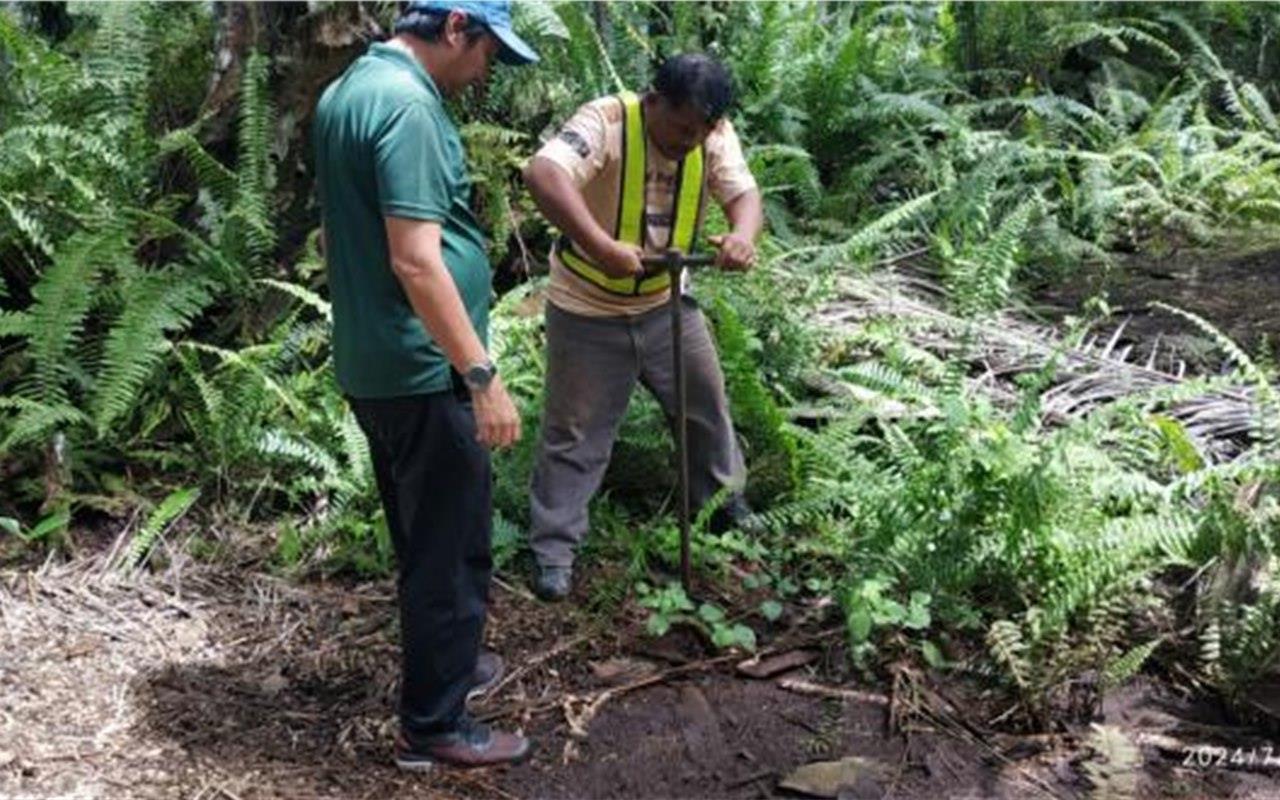 North Borneo Gold Flora and Fauna Study