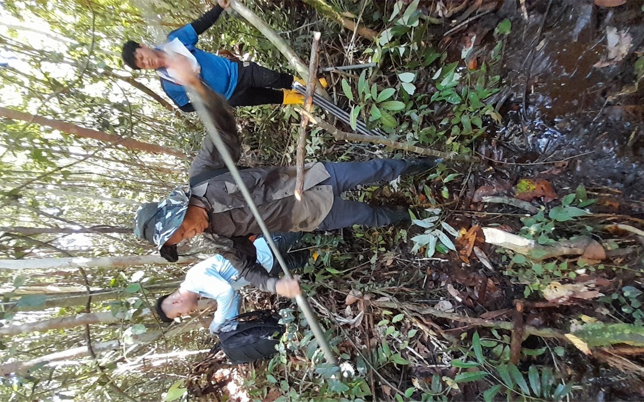 Orangutan Conservation Agroforestry Study