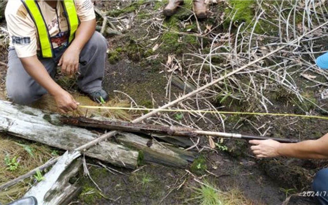 Simunjan Peat Swamp Forest Conservation Plan